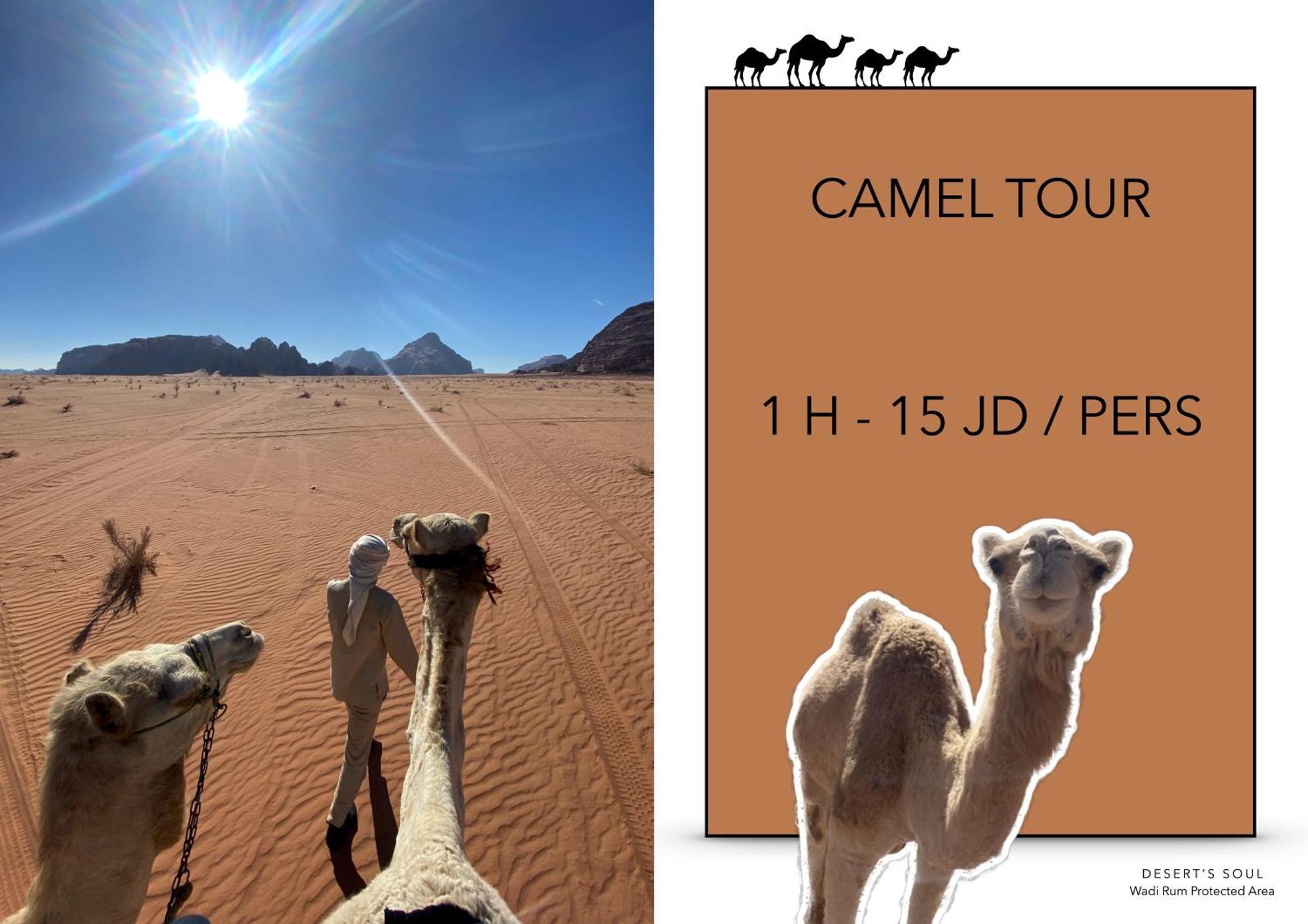 Ad Disah Desert'S Soul Wadi Rum מראה חיצוני תמונה