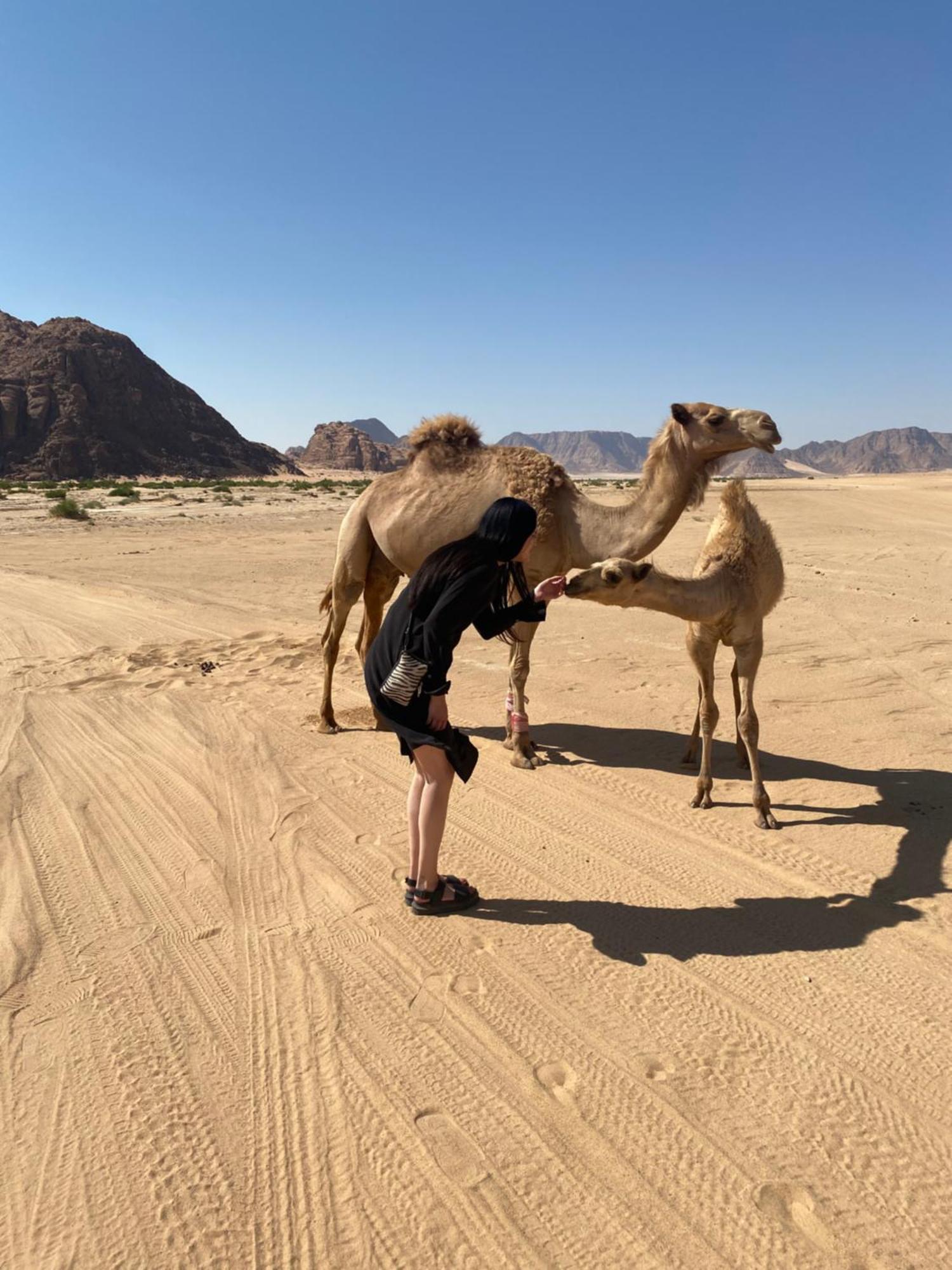 Ad Disah Desert'S Soul Wadi Rum מראה חיצוני תמונה